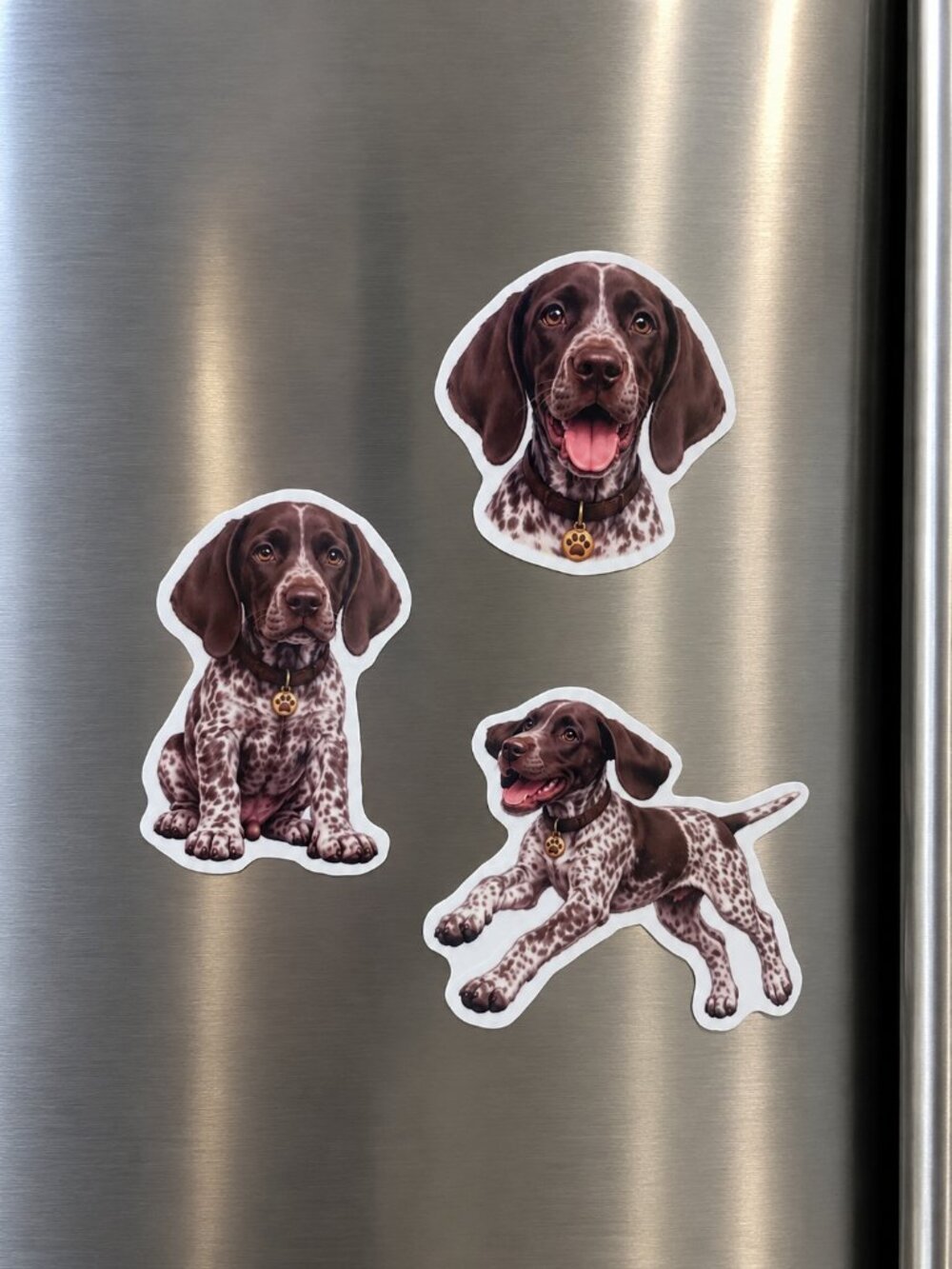 3 German Shorthaired Pointer Dog Magnets GSP Puppy Fridge Refrigerator Decor Gif